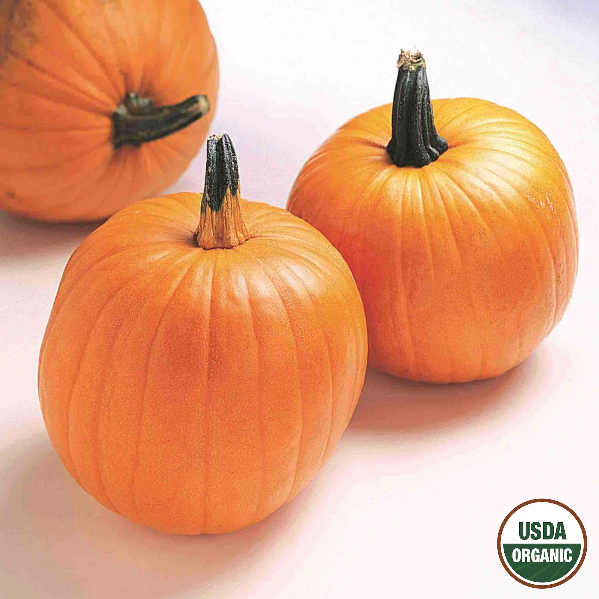 Two small orange pumpkins with furrowed surfaces and stems intact, displayed against a white background, one with the USDA Organic label.